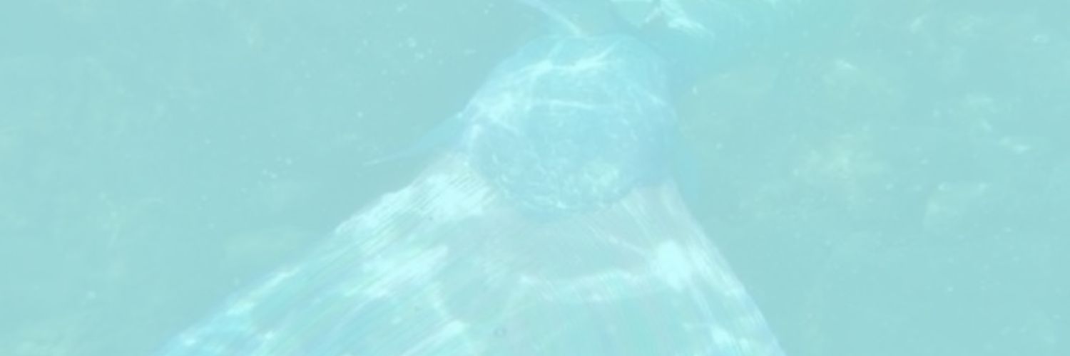 vengerberg__'s profile banner image