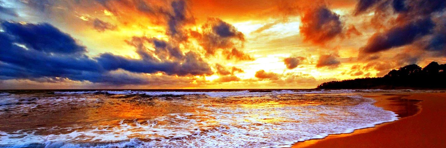 Donald K. Noble banner