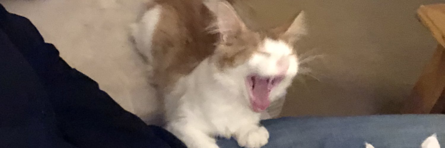 kdmylady's profile banner image