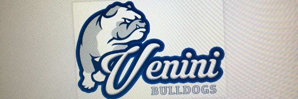 FJVenini's profile banner image