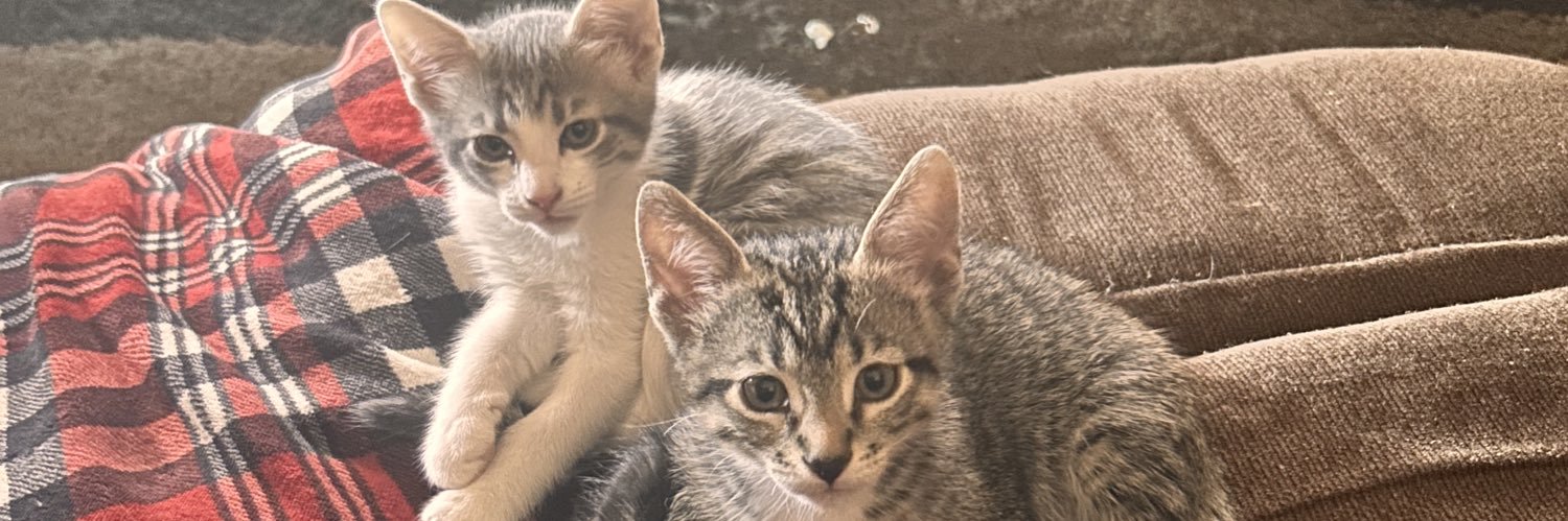 kourtholcombe's profile banner image