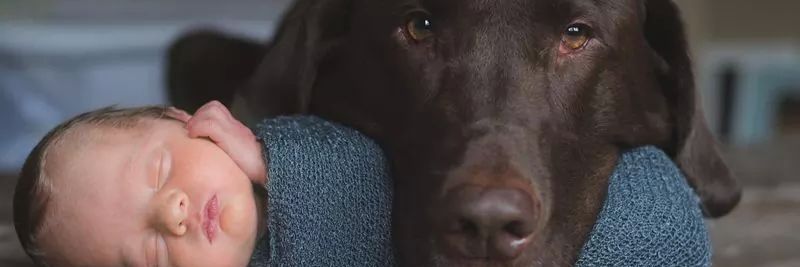 pawlitasha's profile banner image