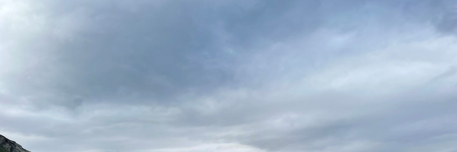 gurusai yarlagadda banner