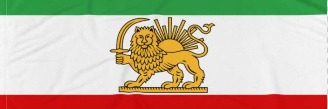 دانای نادان banner