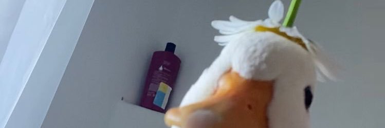 _dumbbxtchjuice's profile banner image