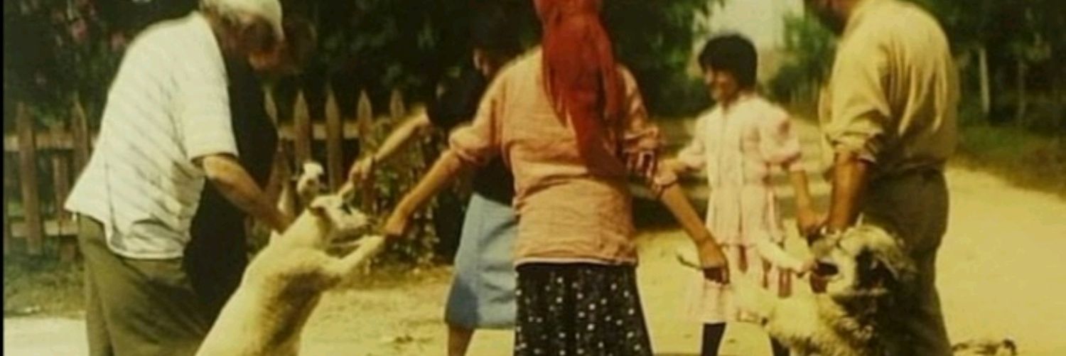 buketkarabas's profile banner image