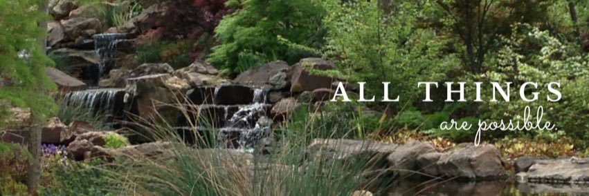 SheilaRaper's profile banner image