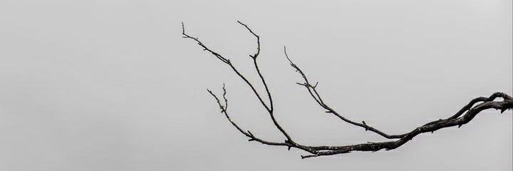 vianoadi's profile banner image