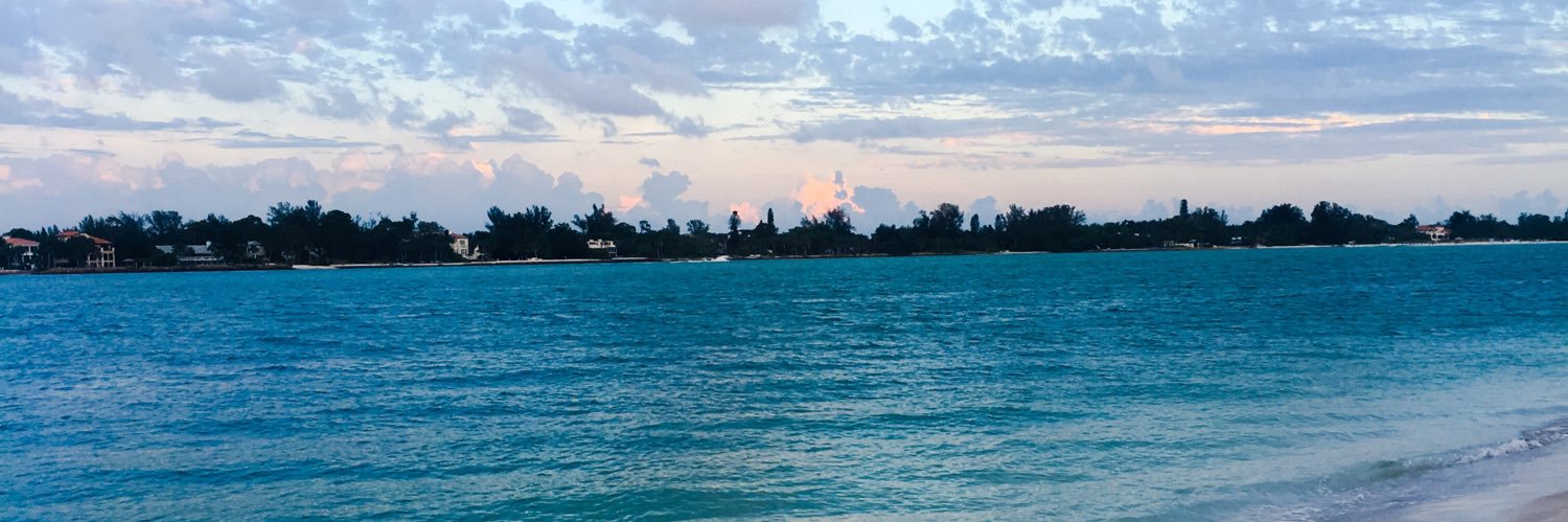 TweetyToni's profile banner image