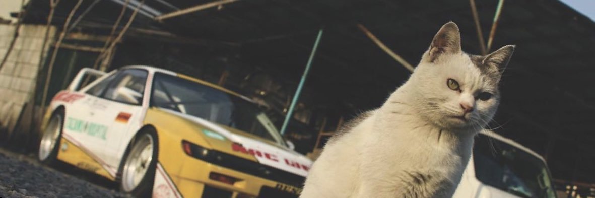 diazBongq's profile banner image