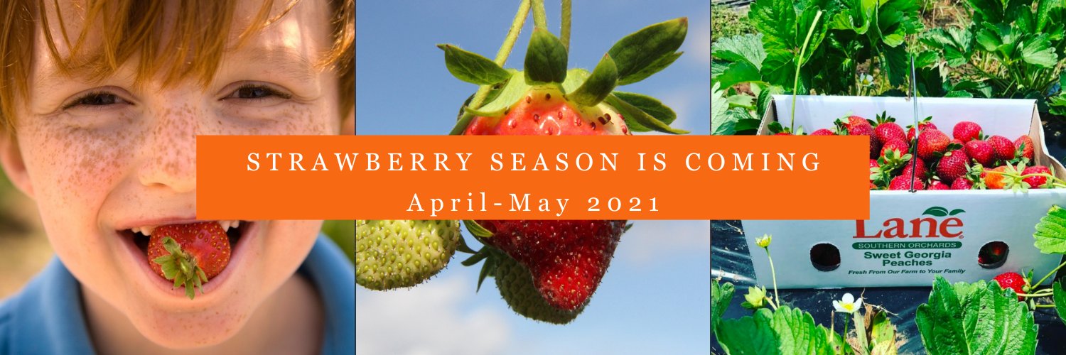 LaneSouthernOrchards banner