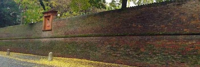 danielebuzzi's profile banner image