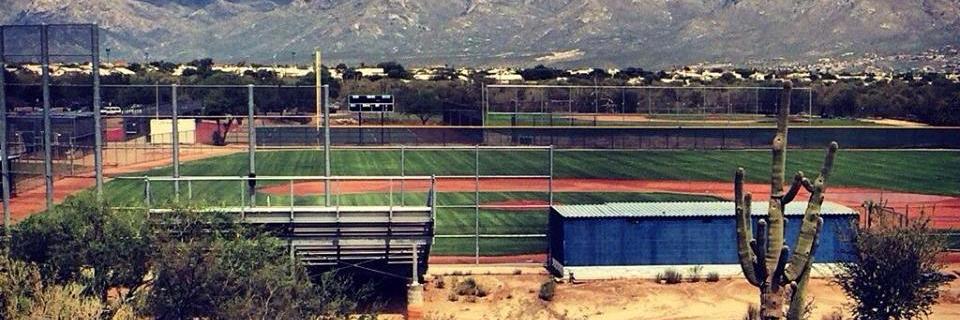 Nighthawks Baseball banner