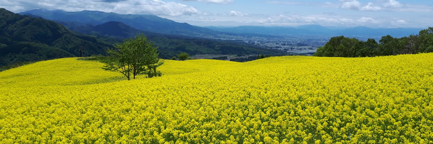 三ノ倉スキー場 banner