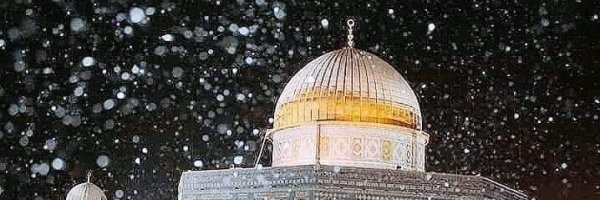 عبدالناصر عيسى's banner