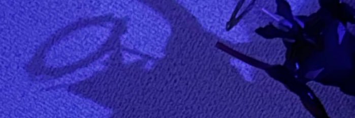 neco_2708's profile banner image