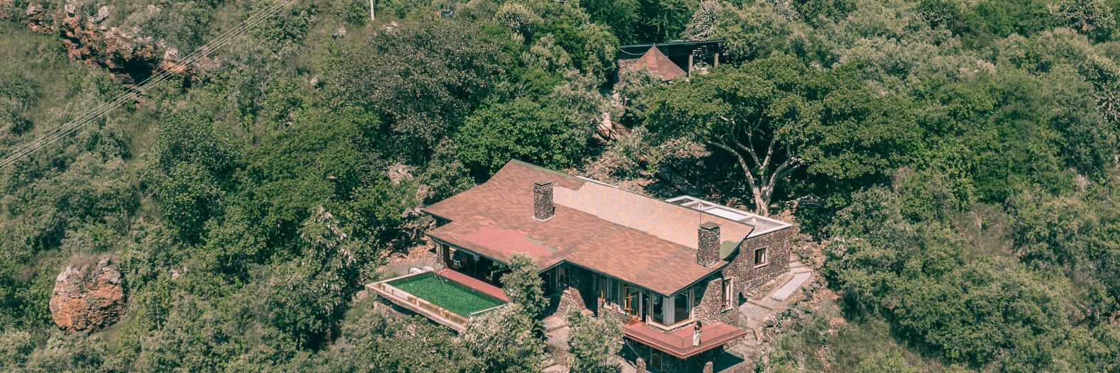 Perfect Strangers Safaris banner