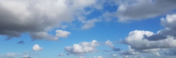 tele_watcher Profile Banner