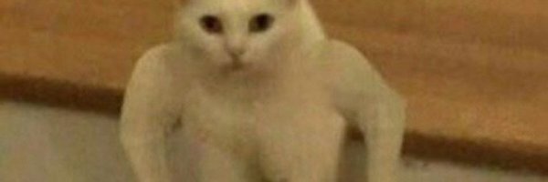 ねぶい banner