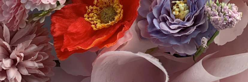 RIRIS banner