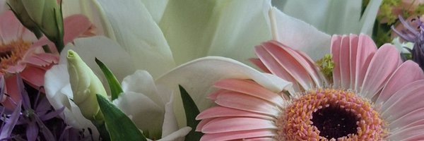 peeaanuuts Profile Banner