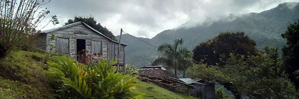 CubanoAPie2 Profile Banner