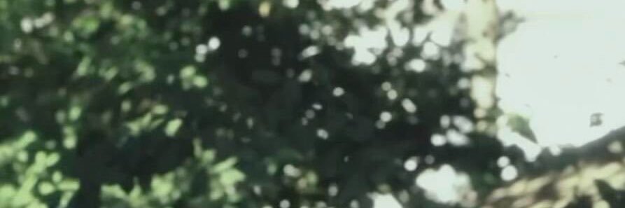 miraejin's profile banner image