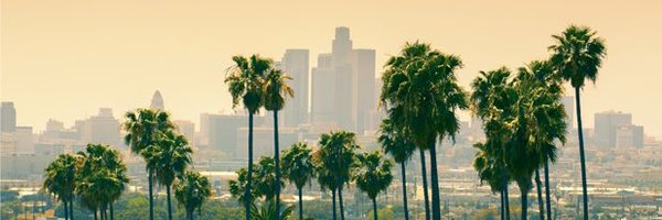 VivyCmd Profile Banner