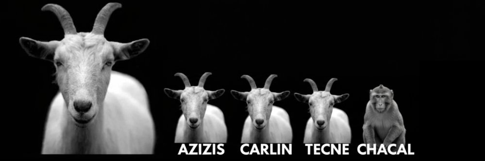 AzizisNews banner