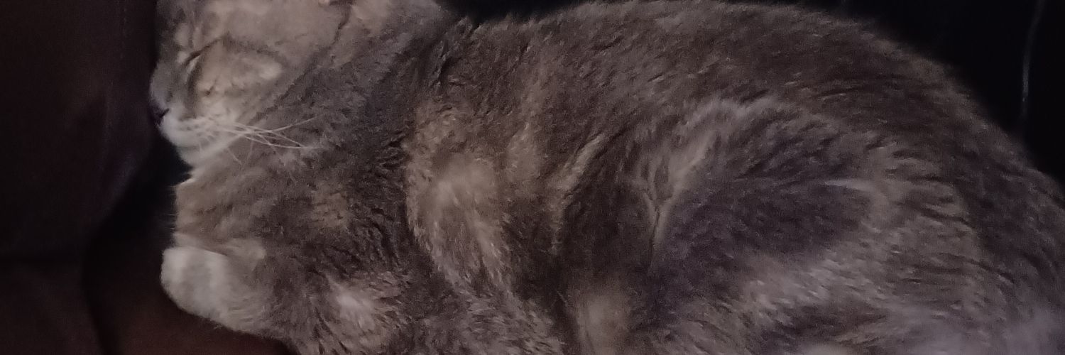 KristynAndrosky's profile banner image