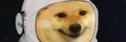 RandomPossumGaming 101's banner