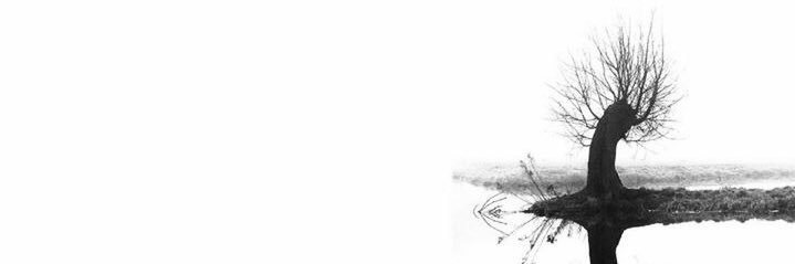 Xandradegroot's profile banner image