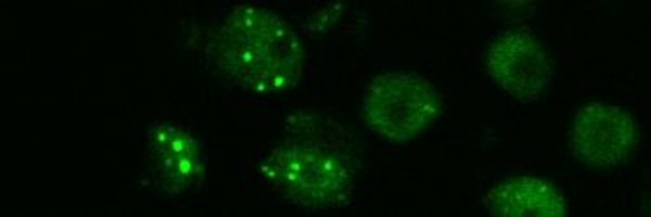 JennySaile Profile Banner