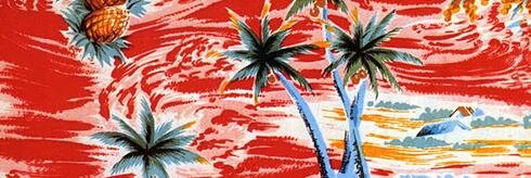 marubooz's profile banner image