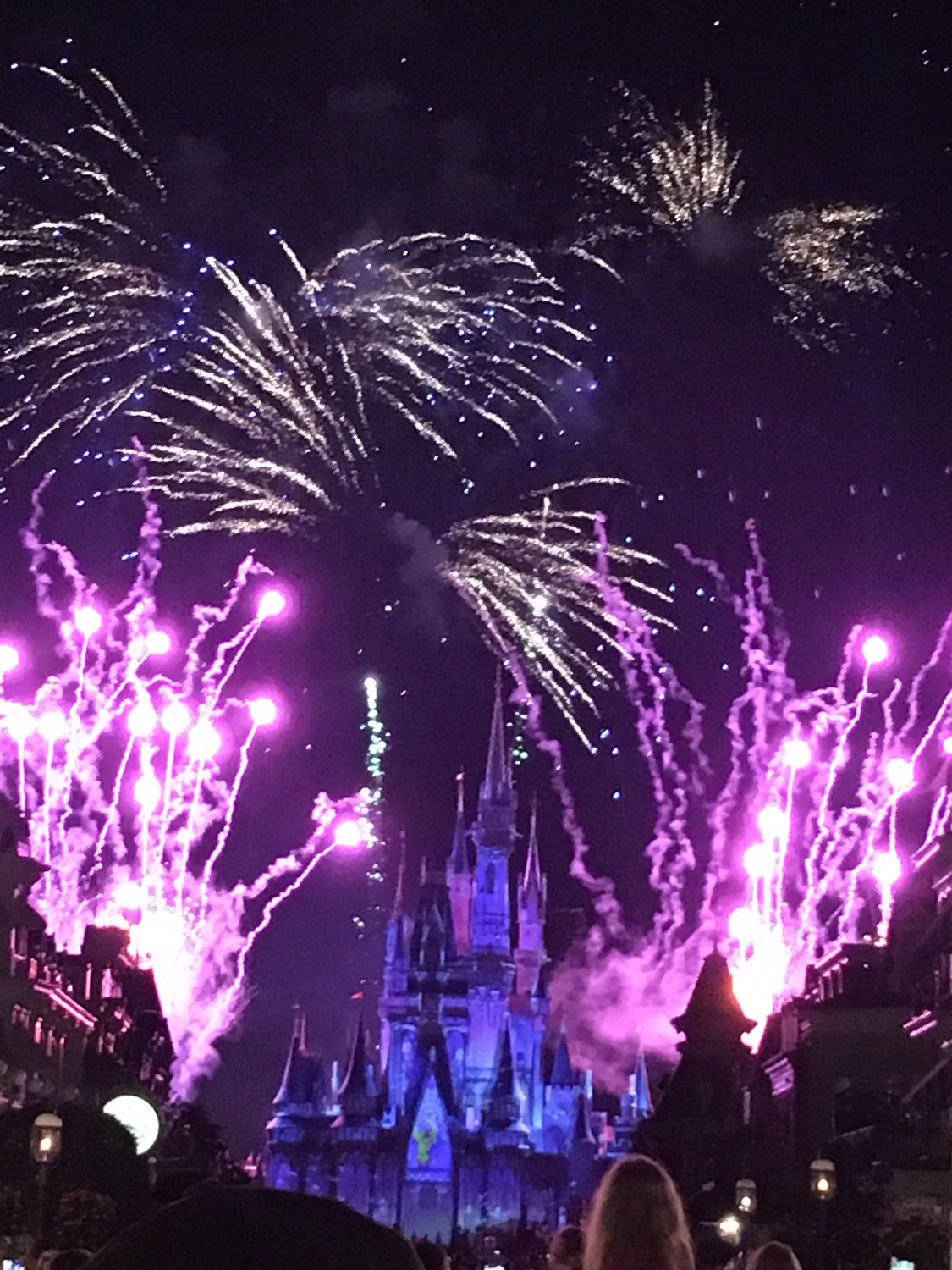 Kelsey Newbery banner