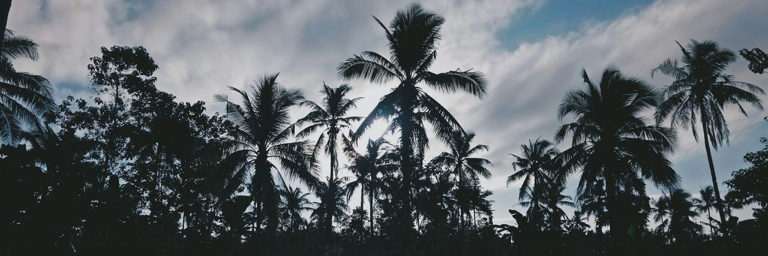 scarletsalonga's profile banner image