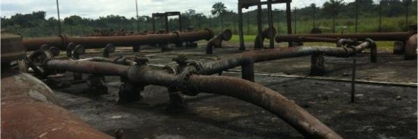 Health of M Earth banner