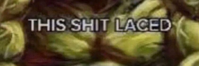 𝔗𝔥𝔢 𝔖𝔩𝔞𝔳 𝔎𝔦𝔫𝔤's banner