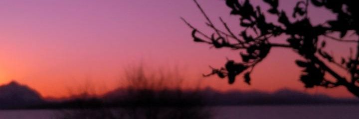 DaavidKush's profile banner image