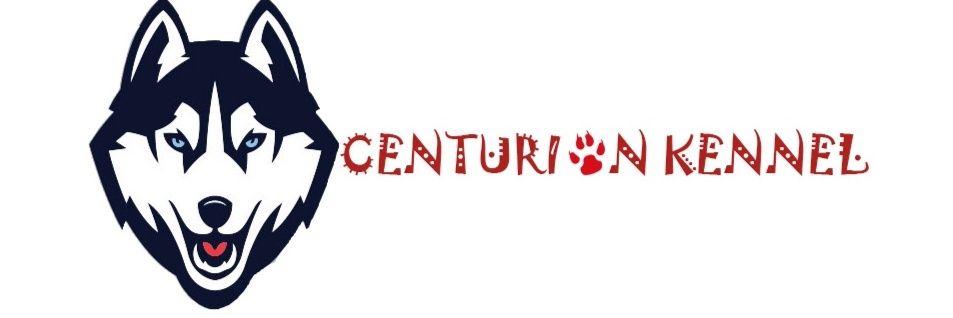 CenturionKennel's profile banner image