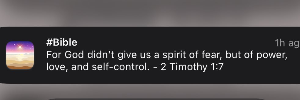 isabella slape banner