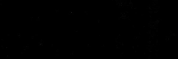 Zio banner