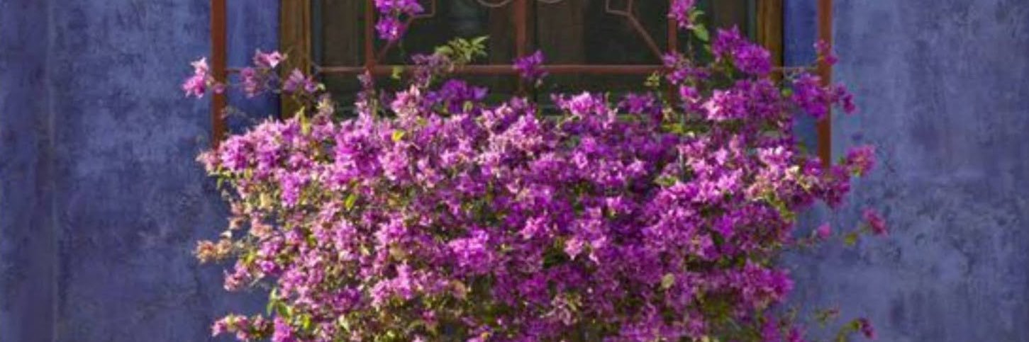 gazzouillette's profile banner image