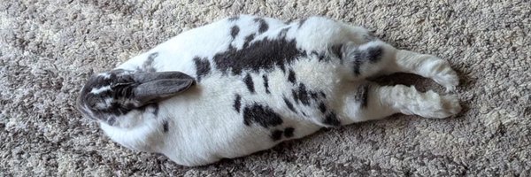 bunnihoppy Profile Banner