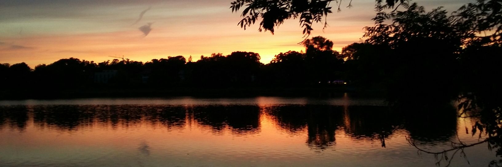 LisaBurnside_'s profile banner image