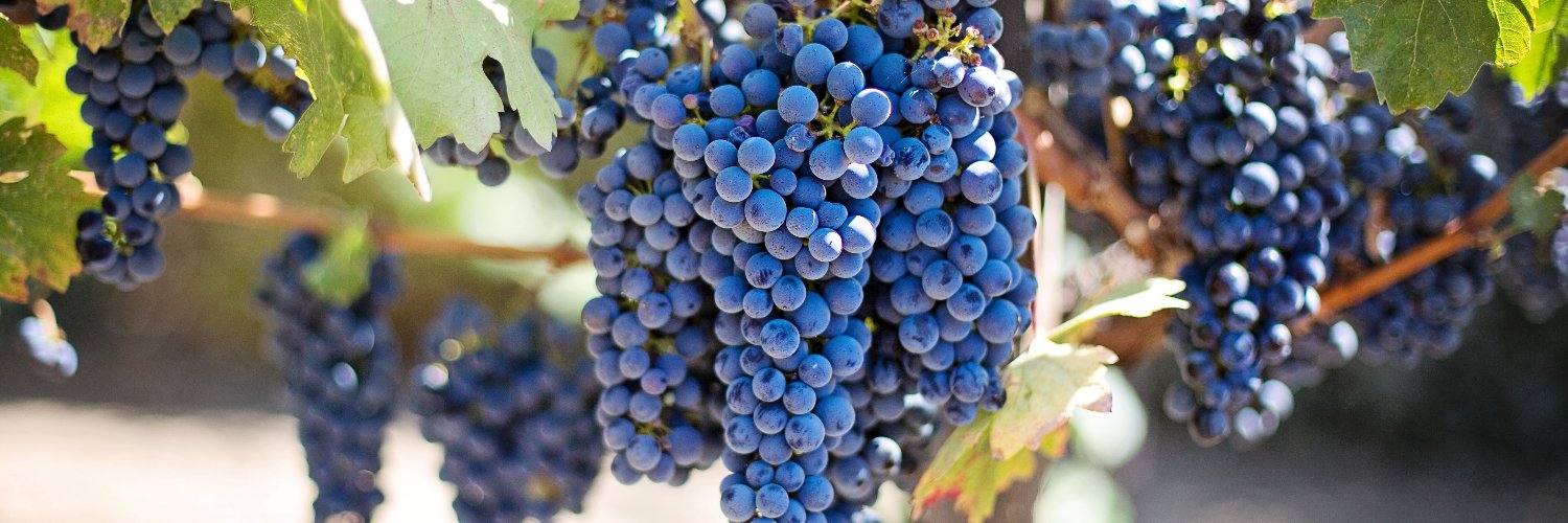 BirminghamWineSchool banner