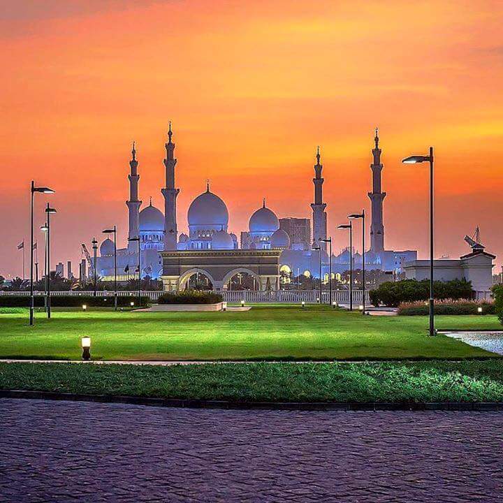 anismohamm's profile banner image