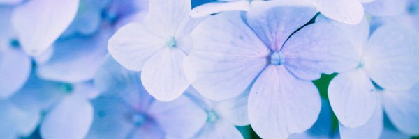 omoufu Profile Banner