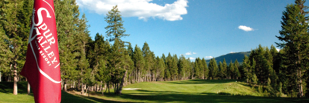 SpurValley's profile banner image