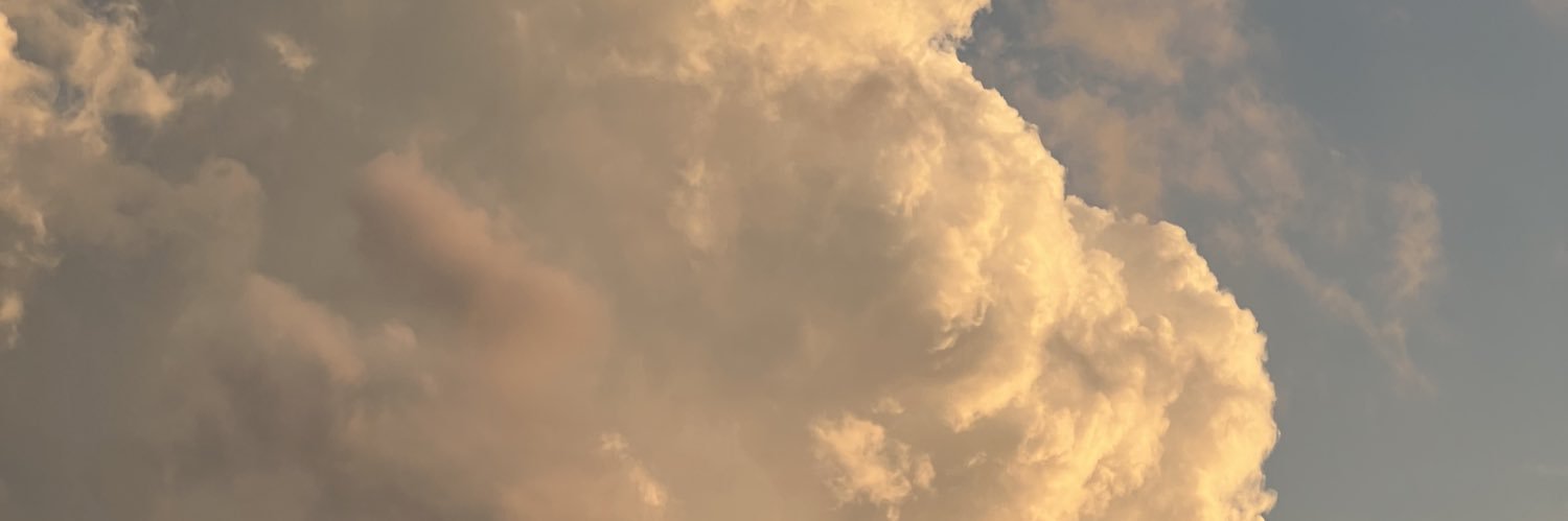 Armaan Fallahi banner